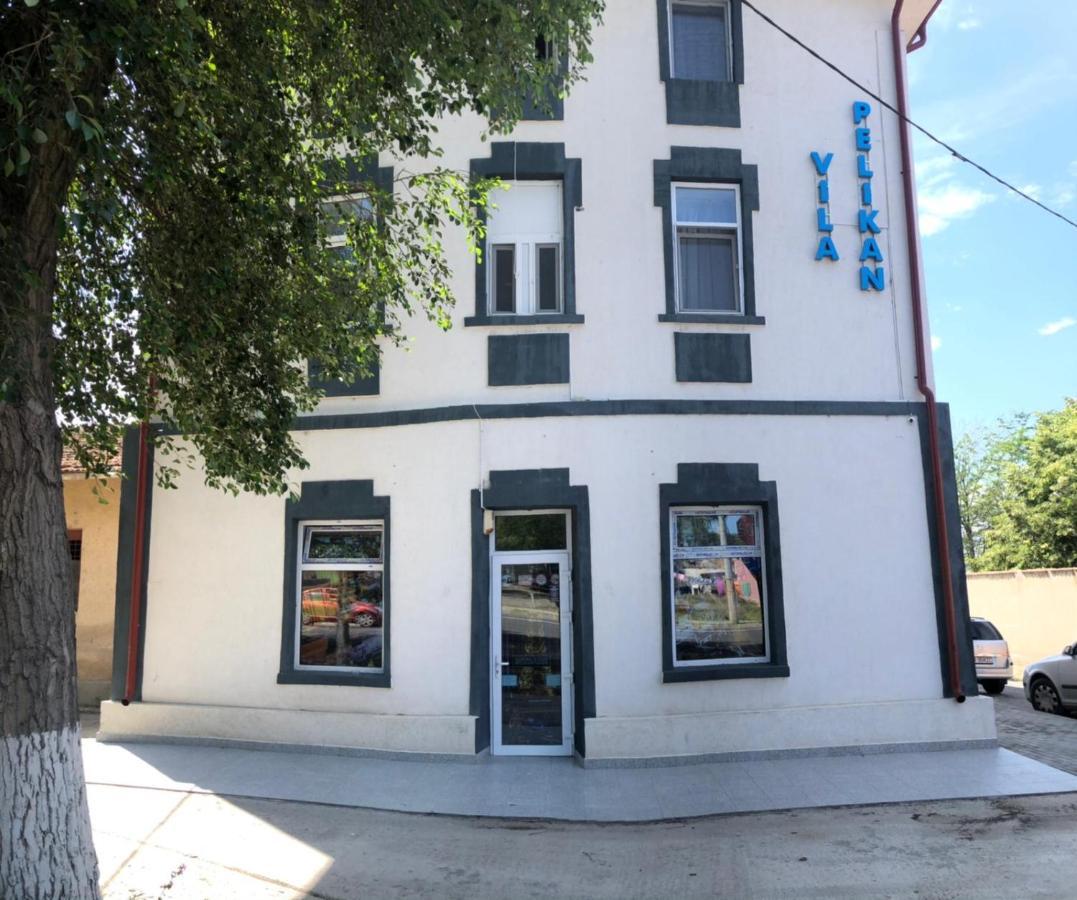 Vila Pelikan Eforie Sud  Exteriör bild